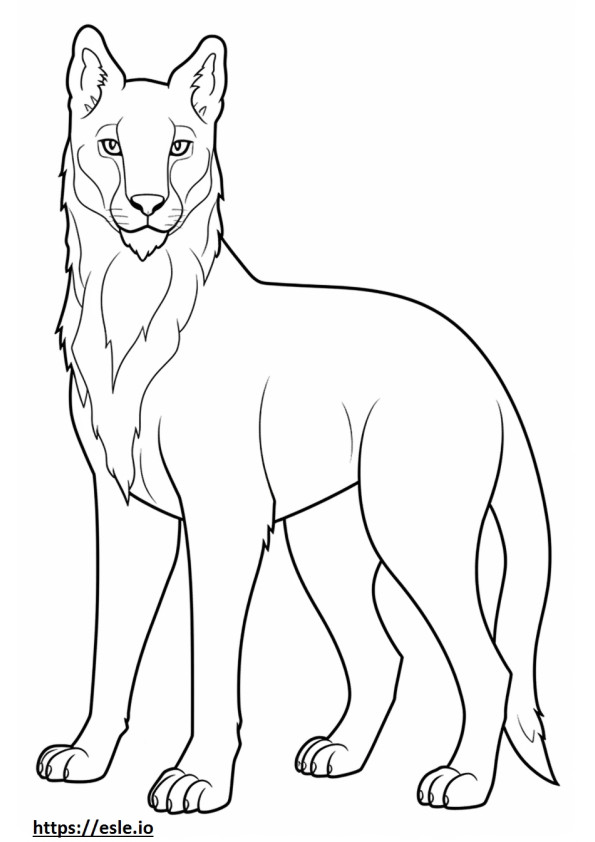Balkan Lynx volledig lichaam kleurplaat