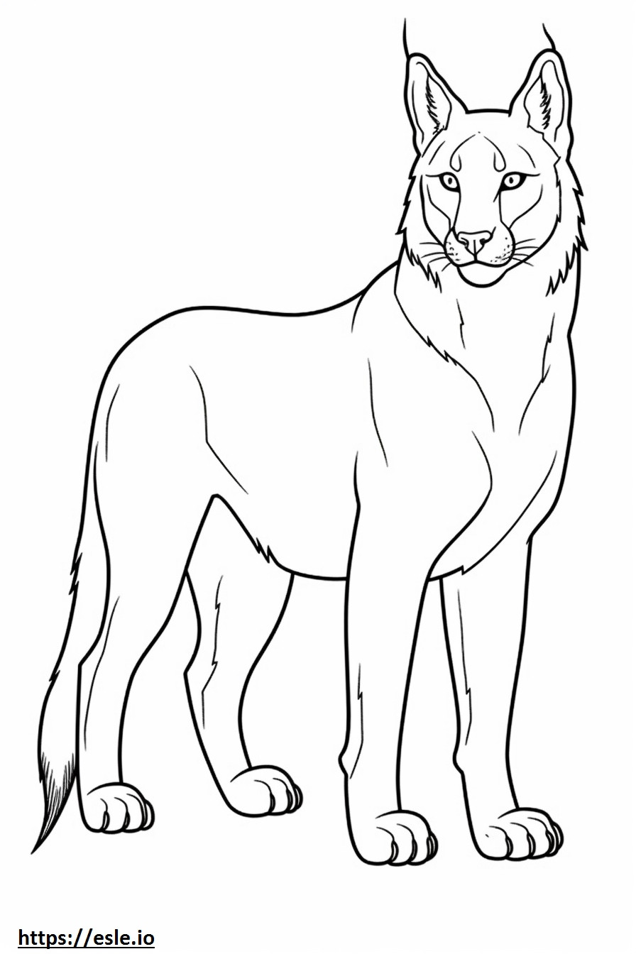 Balkan Lynx volledig lichaam kleurplaat kleurplaat