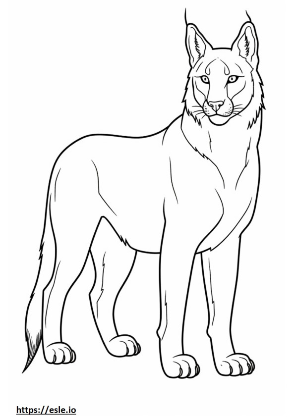 Balkan Lynx volledig lichaam kleurplaat