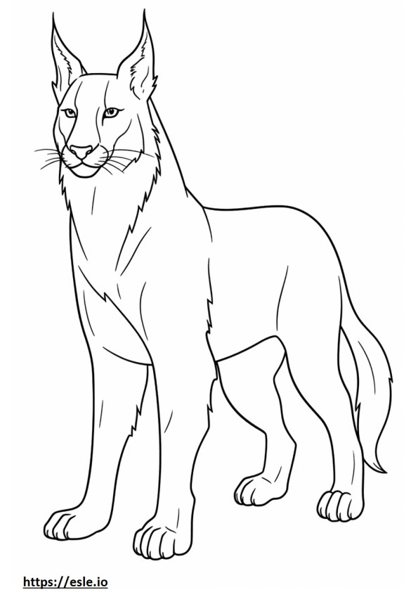 Balkan Lynx koko vartalo värityskuva