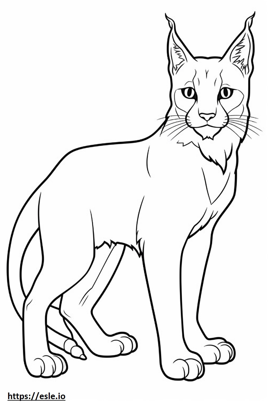 Kartun Lynx Balkan gambar mewarnai