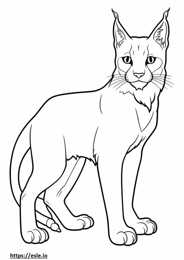 Kartun Lynx Balkan gambar mewarnai