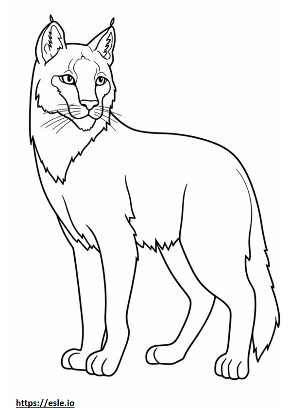 Coloriage Caricature de Lynx des Balkans à imprimer