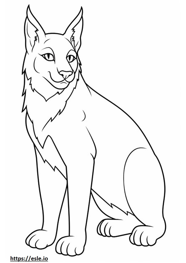 Balkan Lynx cute coloring page