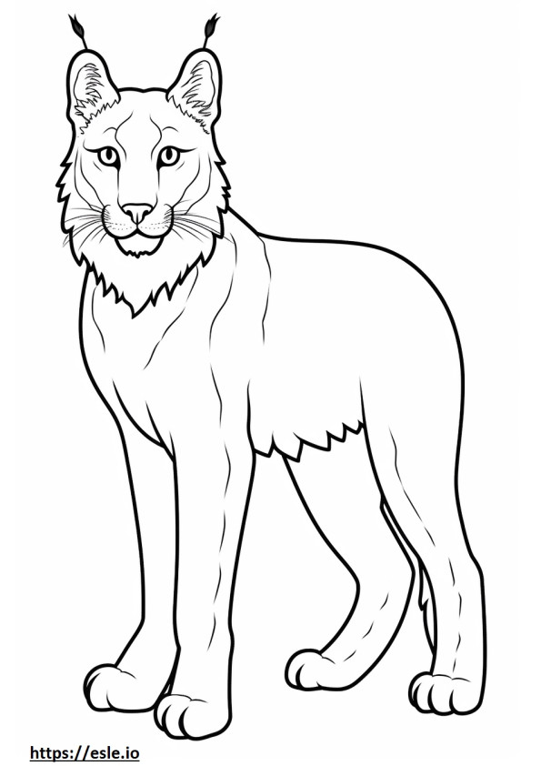 Balkan Lynx happy coloring page