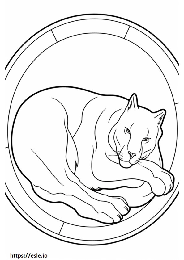 Balkan Lynx Sleeping coloring page