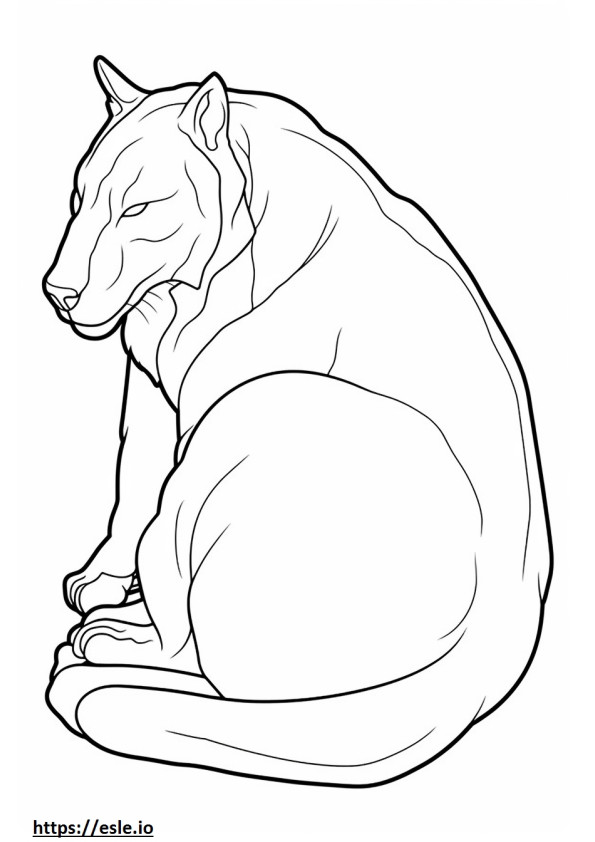 Balkan Lynx Sleeping coloring page