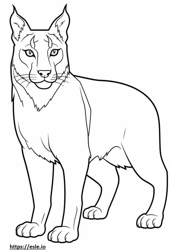 Balkan Lynx Friendly de colorat