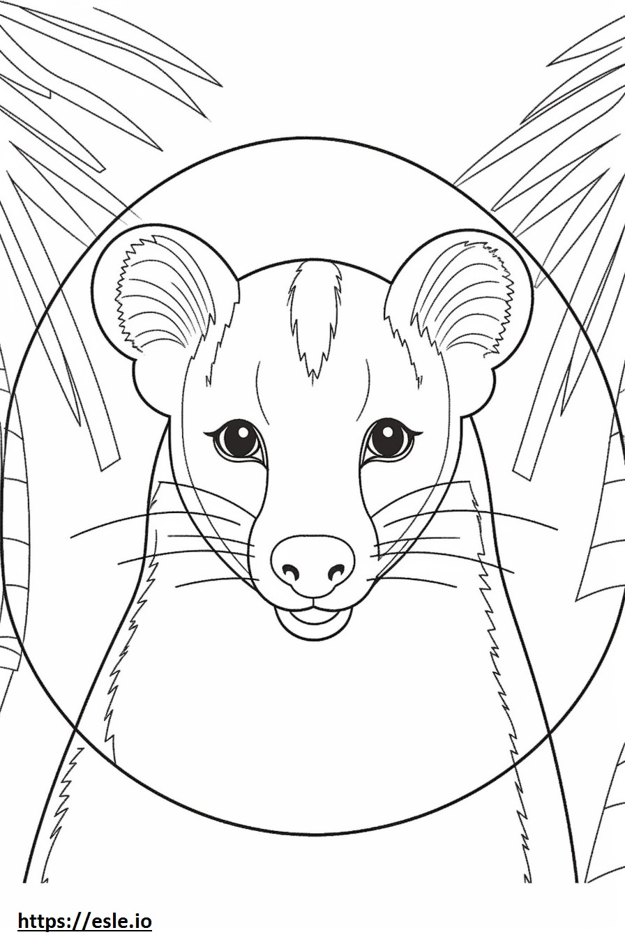 Banded Palm Civet face coloring page