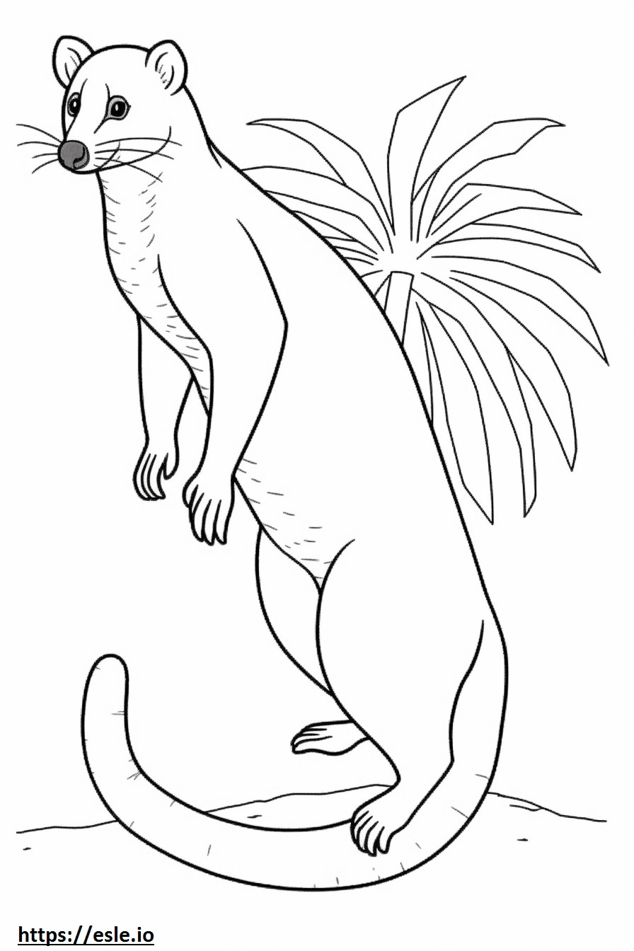 Şeritli Palmiye Misk Kedisi tam vücut boyama