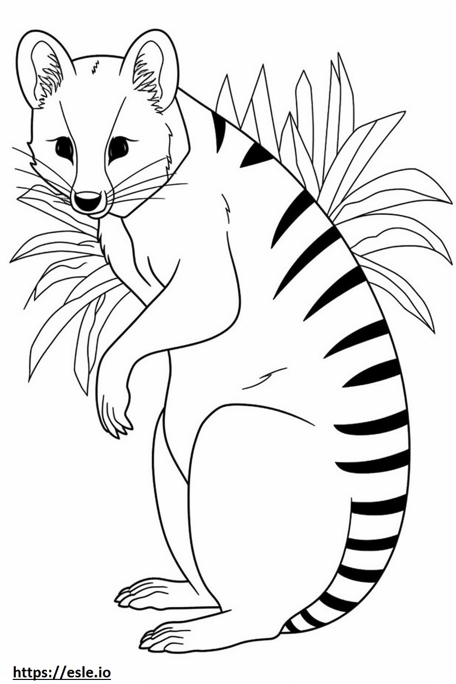 Şeritli Palmiye Misk Kedisi karikatür boyama