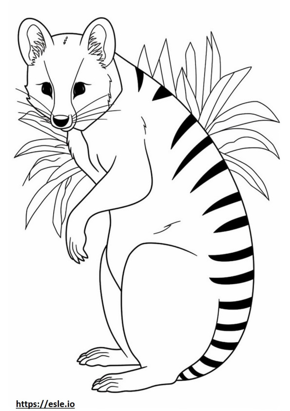 Şeritli Palmiye Misk Kedisi karikatür boyama