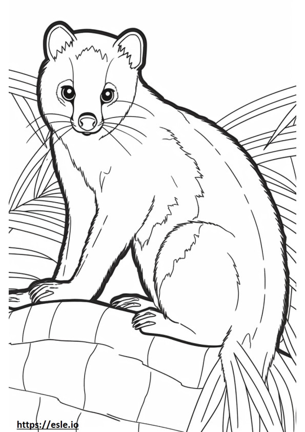 Şeritli Palmiye Misk Kedisi sevimli boyama