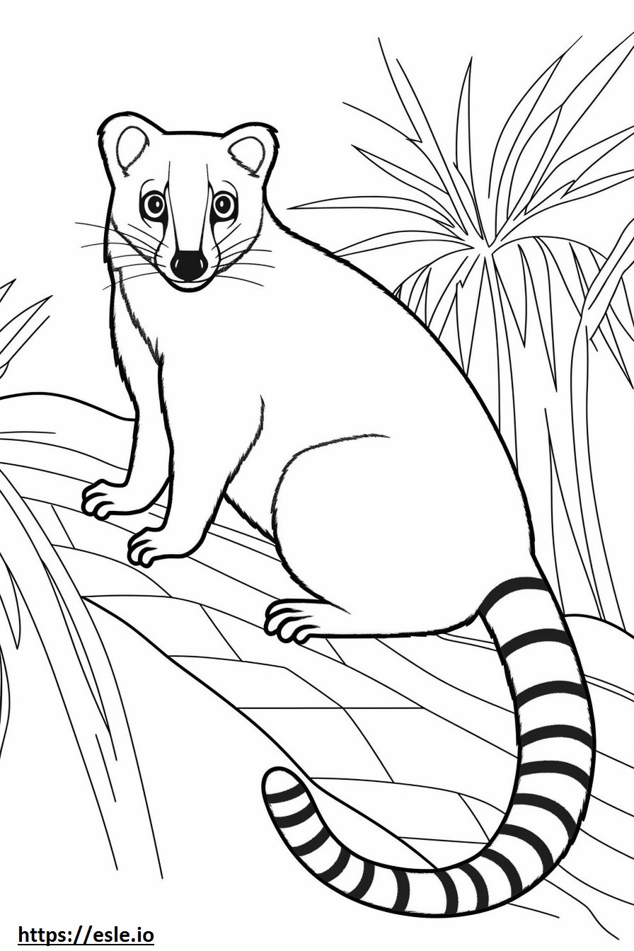 Desenho animado de Palm Civet com faixas para colorir