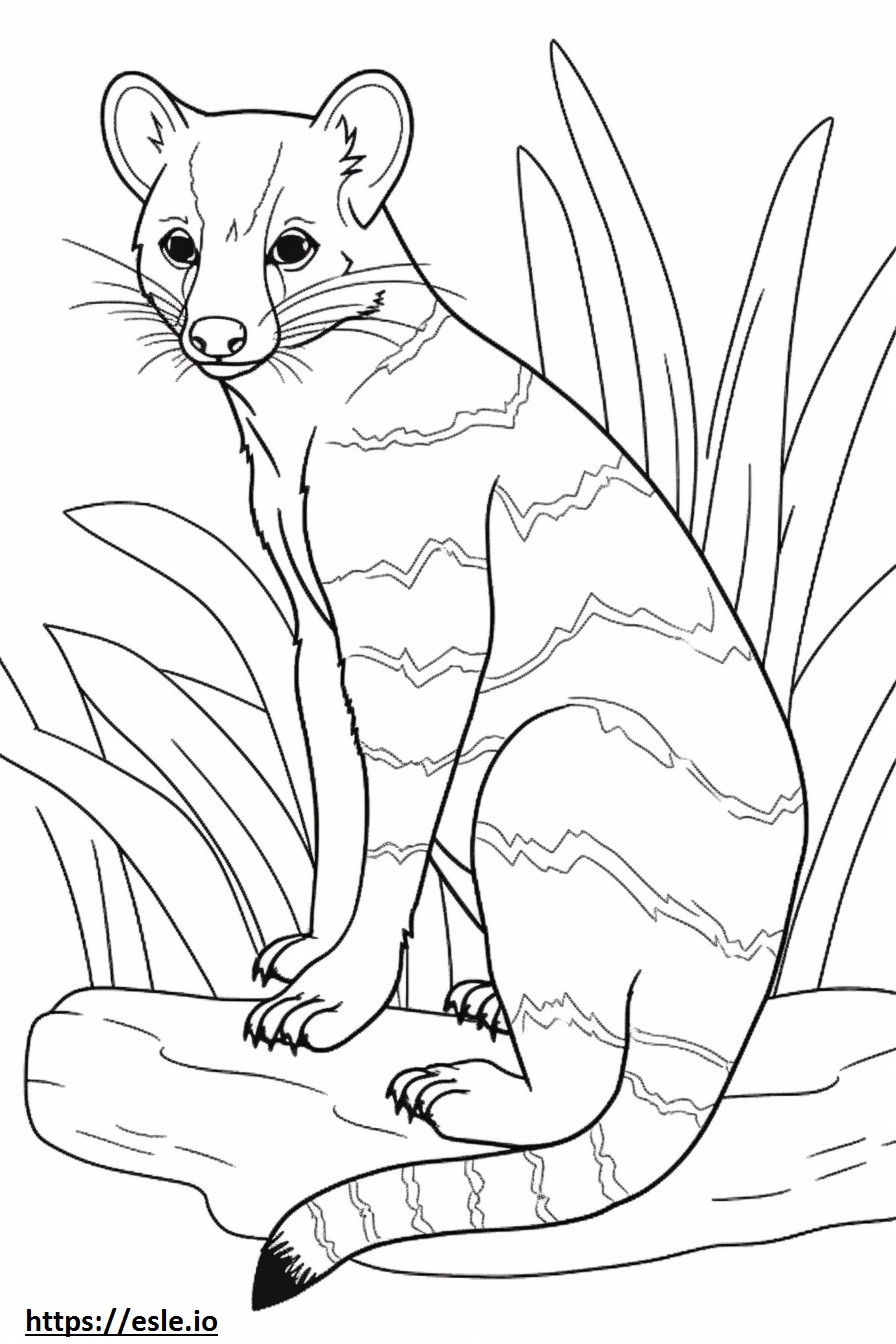 Desenho animado de Palm Civet com faixas para colorir