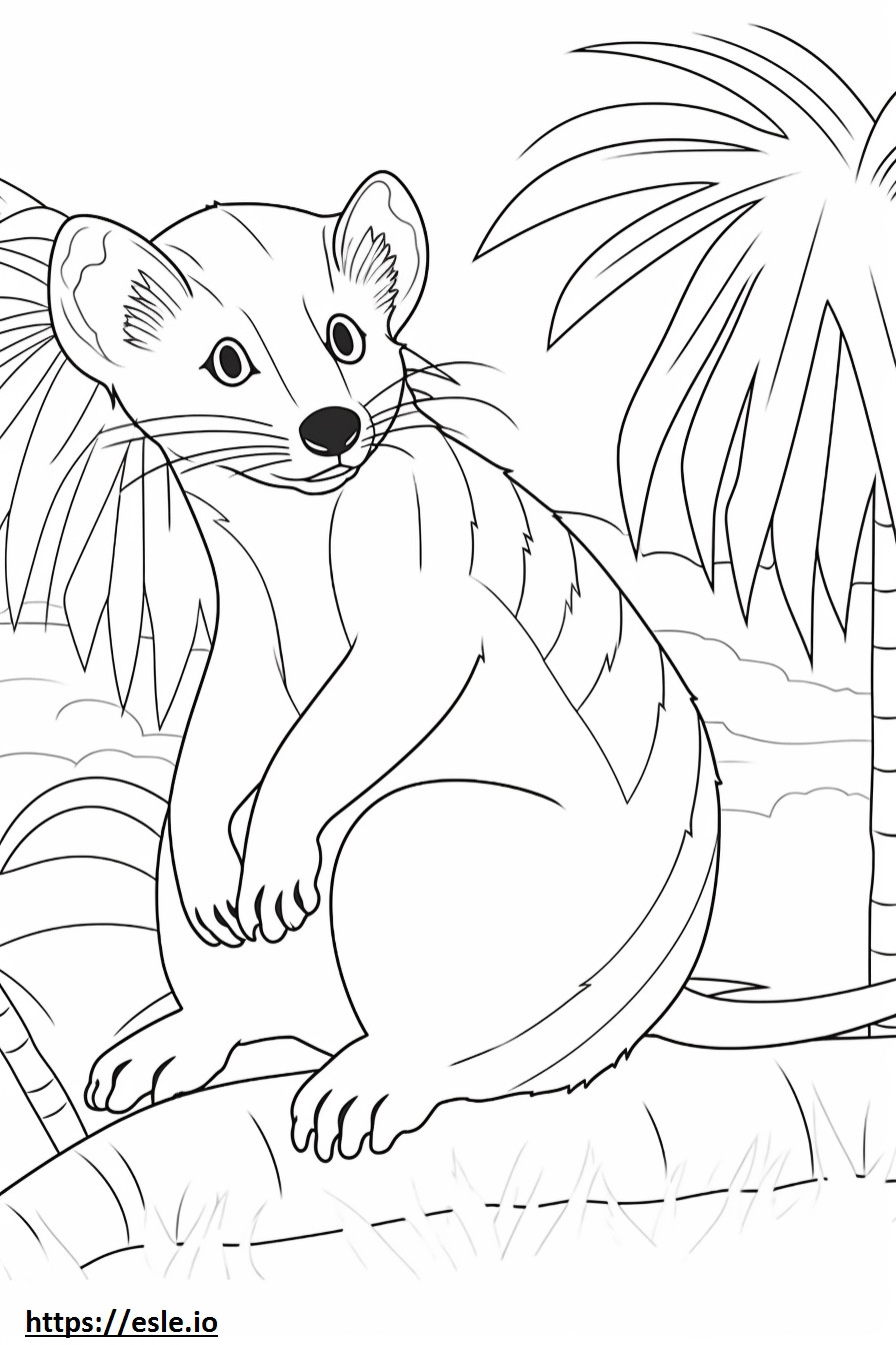 Banded Palm Civet cute coloring page