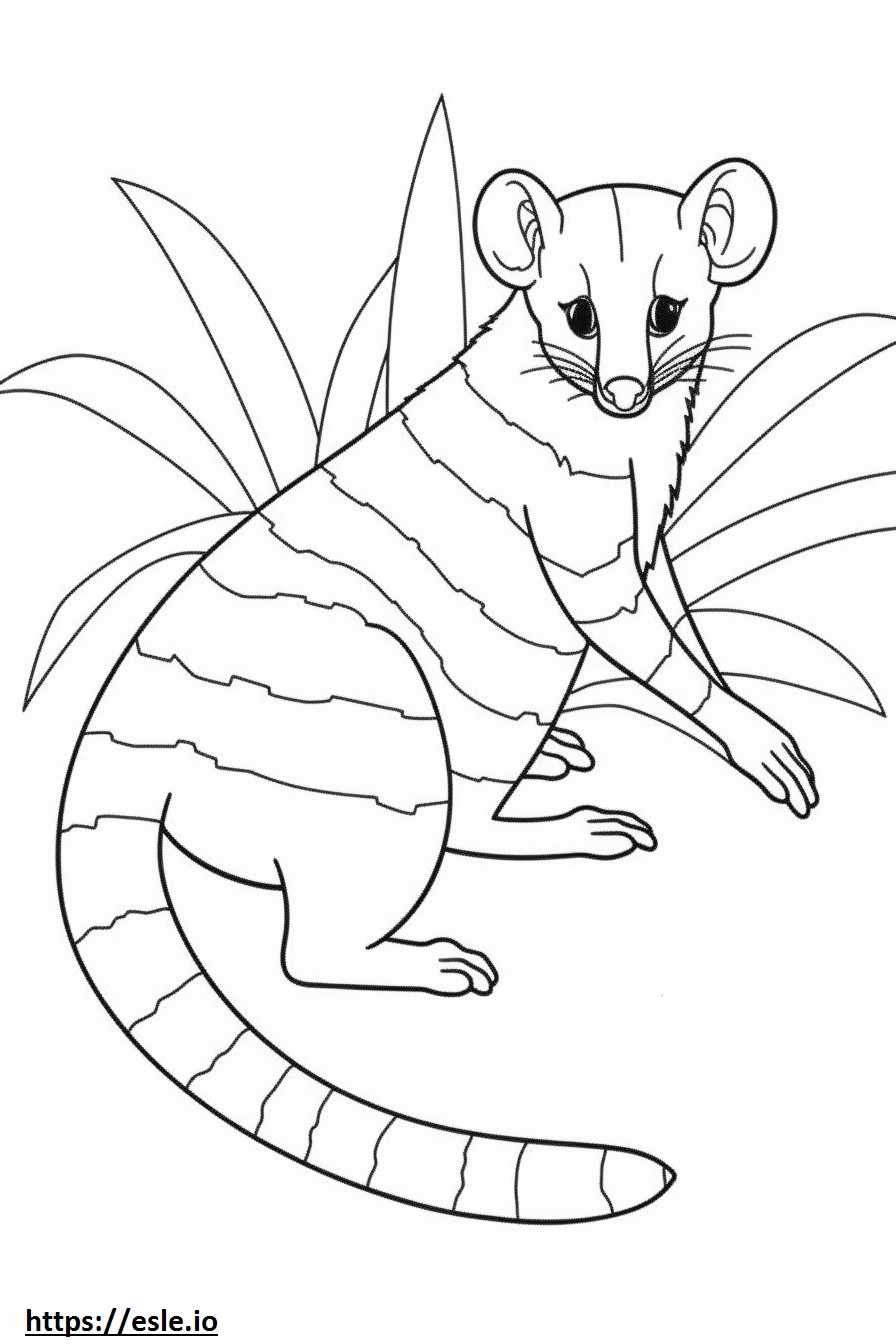 Banded Palm Civet happy coloring page