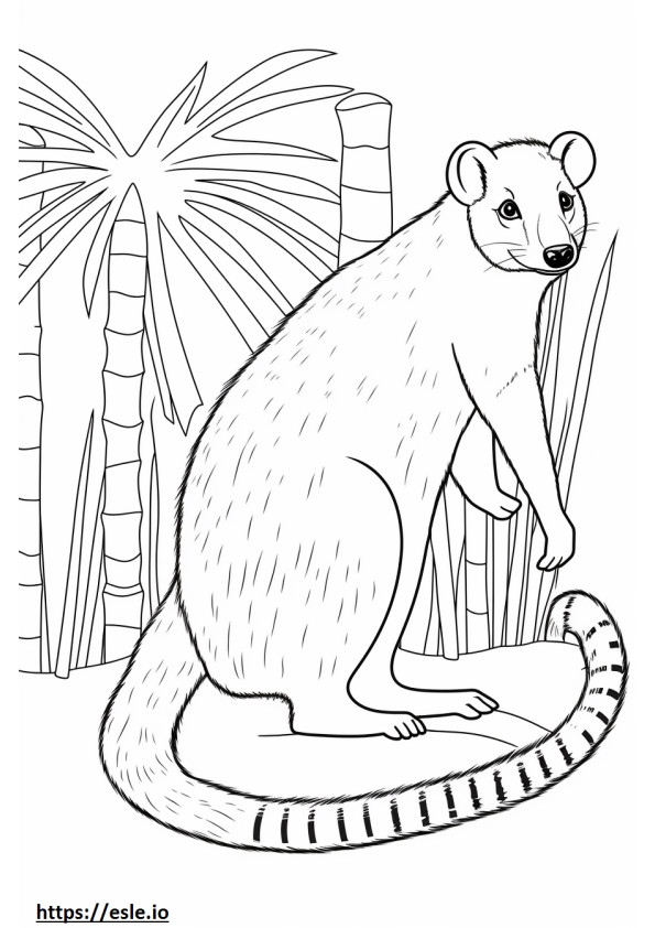 Banded Palm Civet happy coloring page