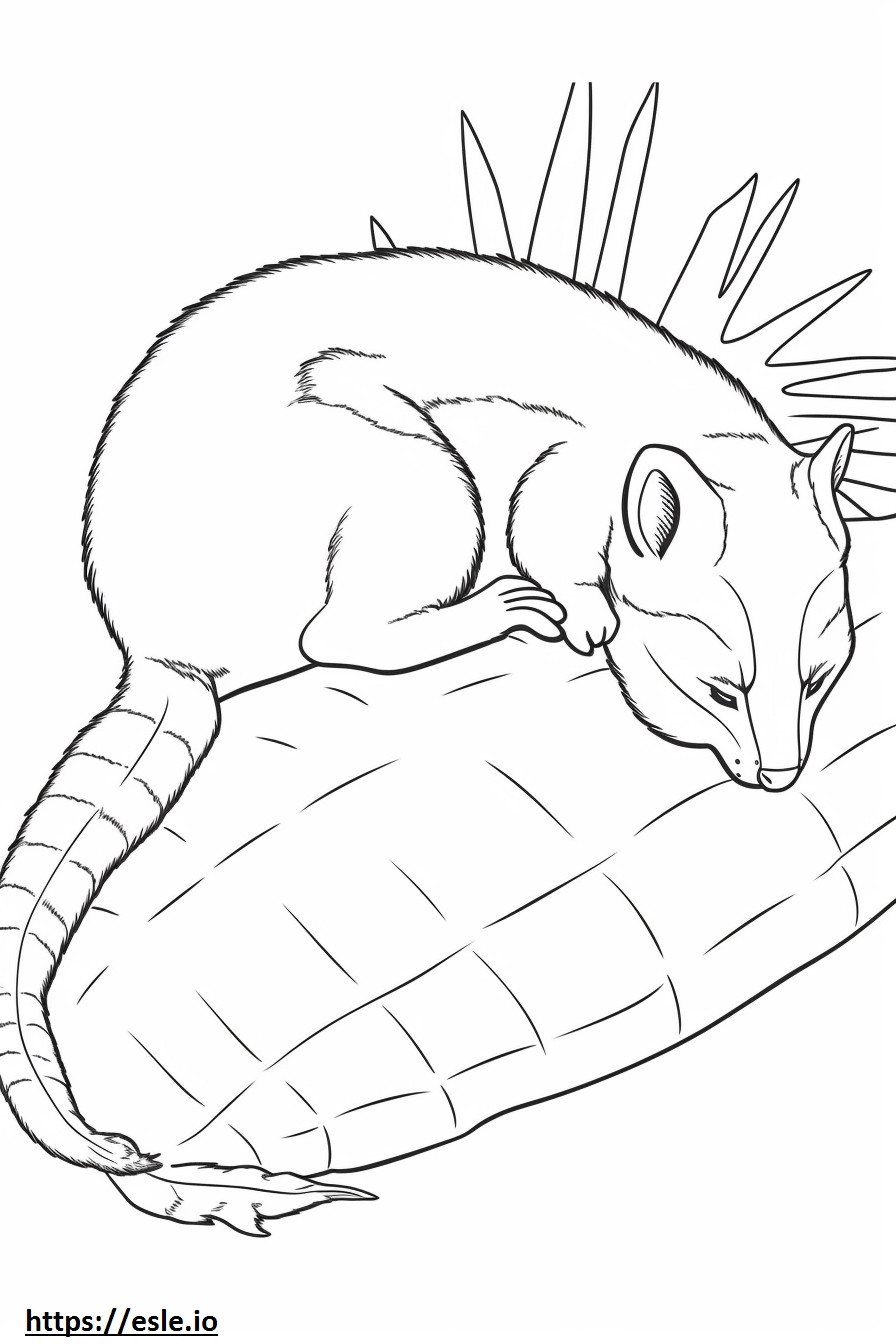 Banded Palm Civet Sleeping coloring page