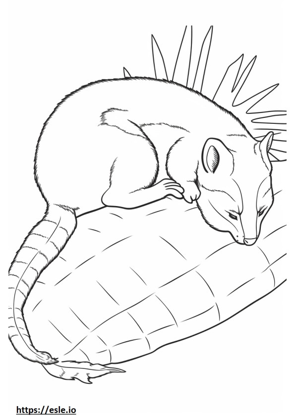 Banded Palm Civet Sleeping coloring page