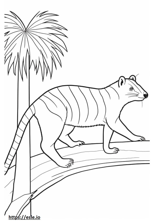 Banded Palm Civet Playing coloring page