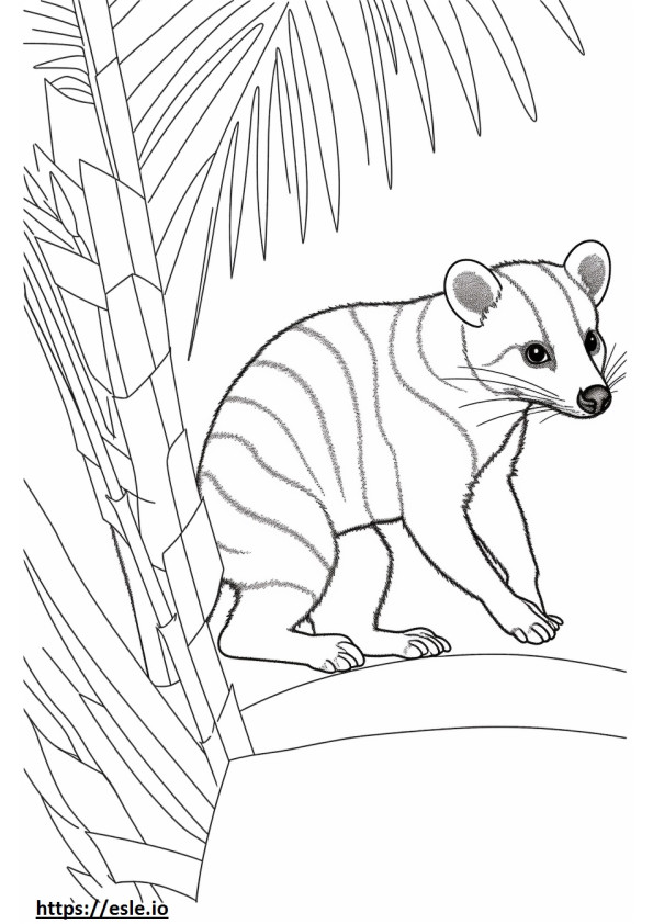 Banded Palm Civet care joacă de colorat