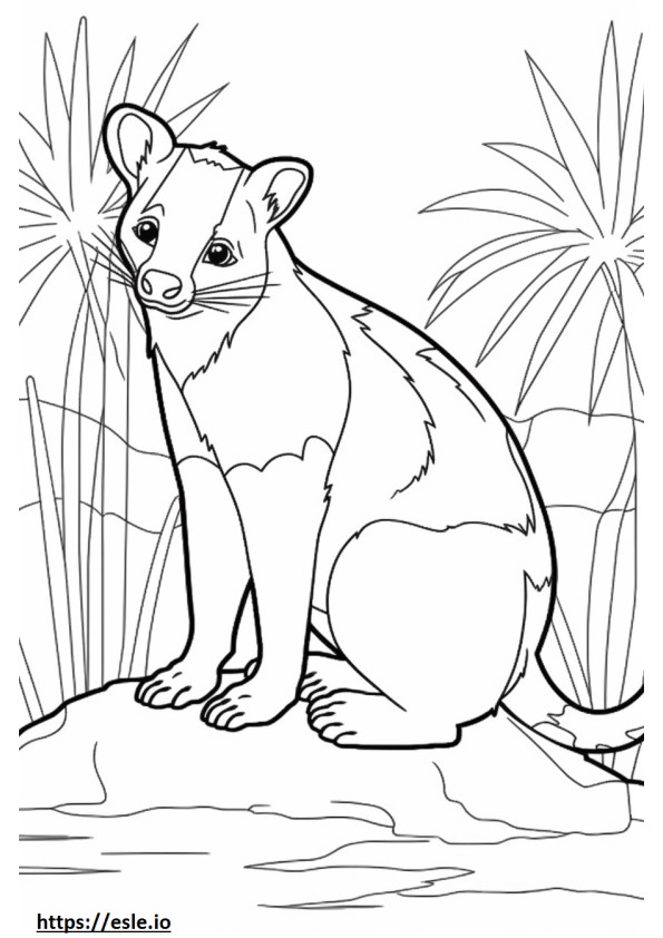 Banded Palm Civet Playing coloring page