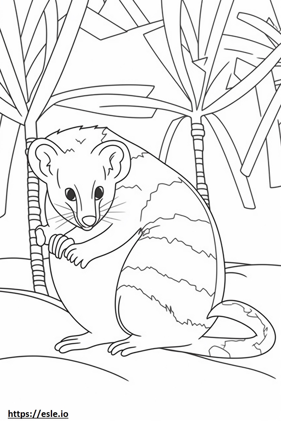 Banded Palm Civet Kawaii coloring page