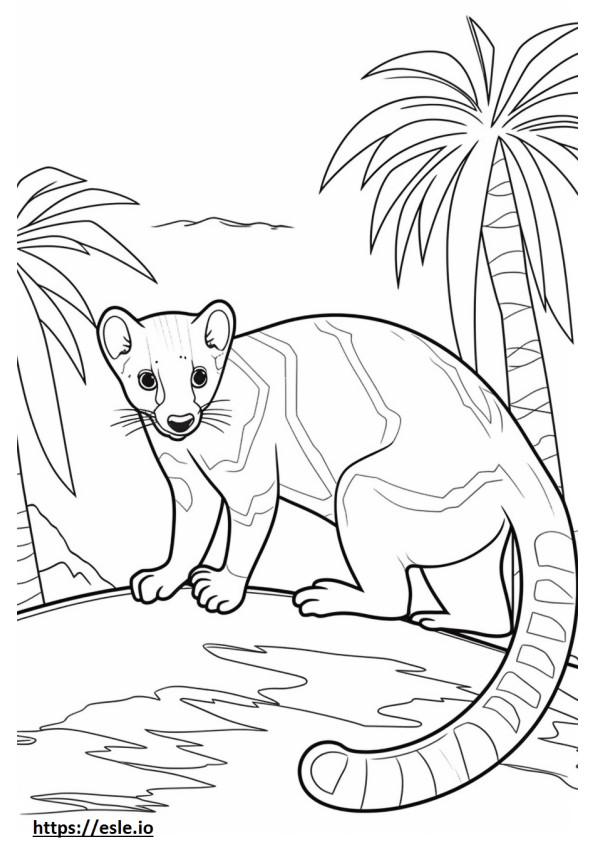 Banded Palm Civet Friendly de colorat