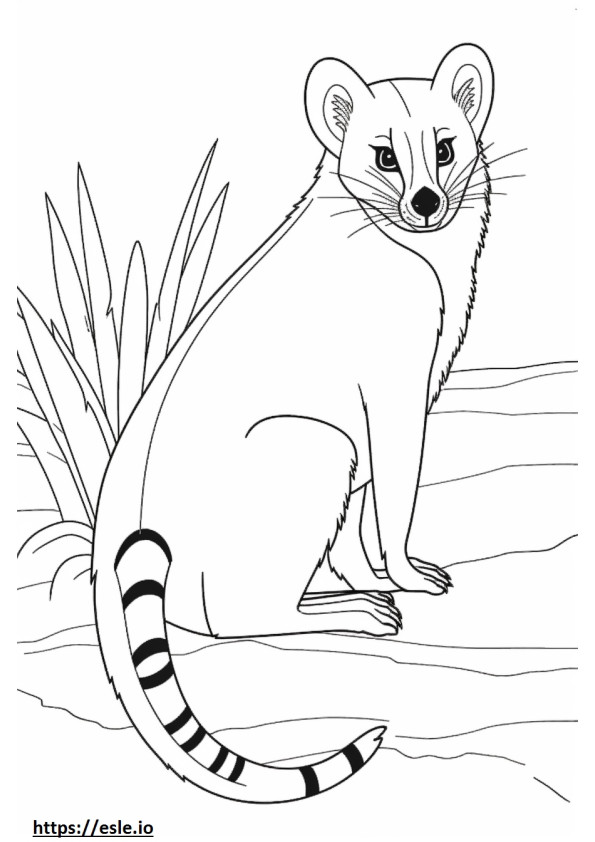 Gebänderte Zibetkatzen freundlich ausmalbild