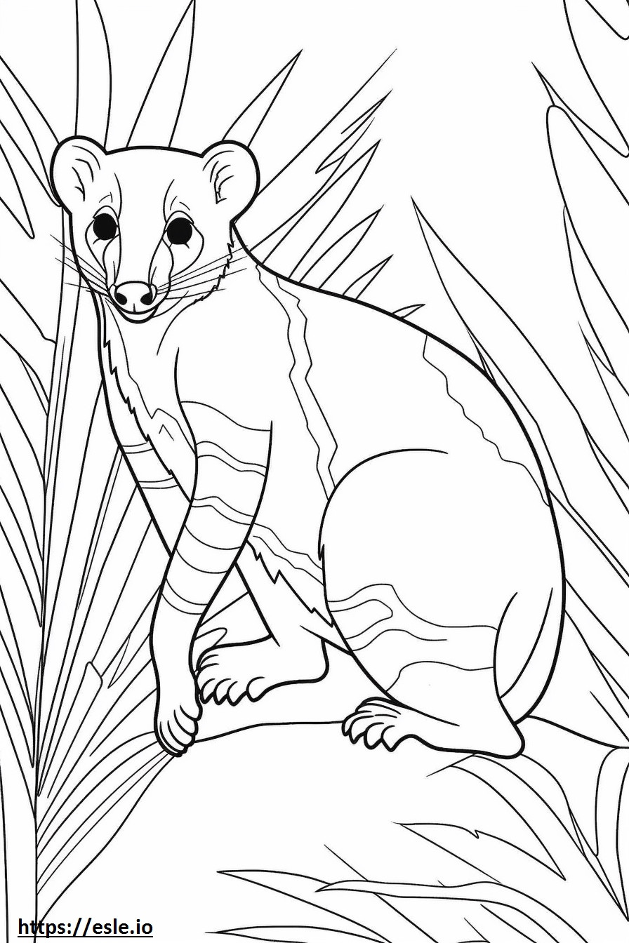 Banded Palm Civet Friendly coloring page