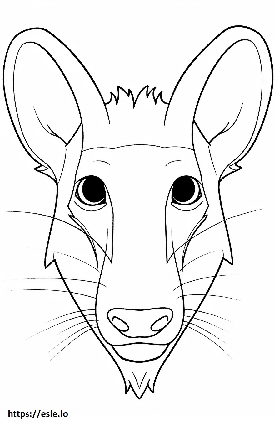 Bandicoot face coloring page