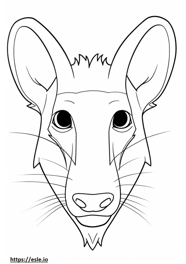 Bandicoot face coloring page