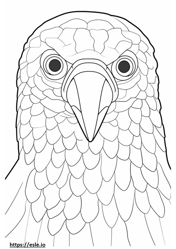 Barbet face coloring page