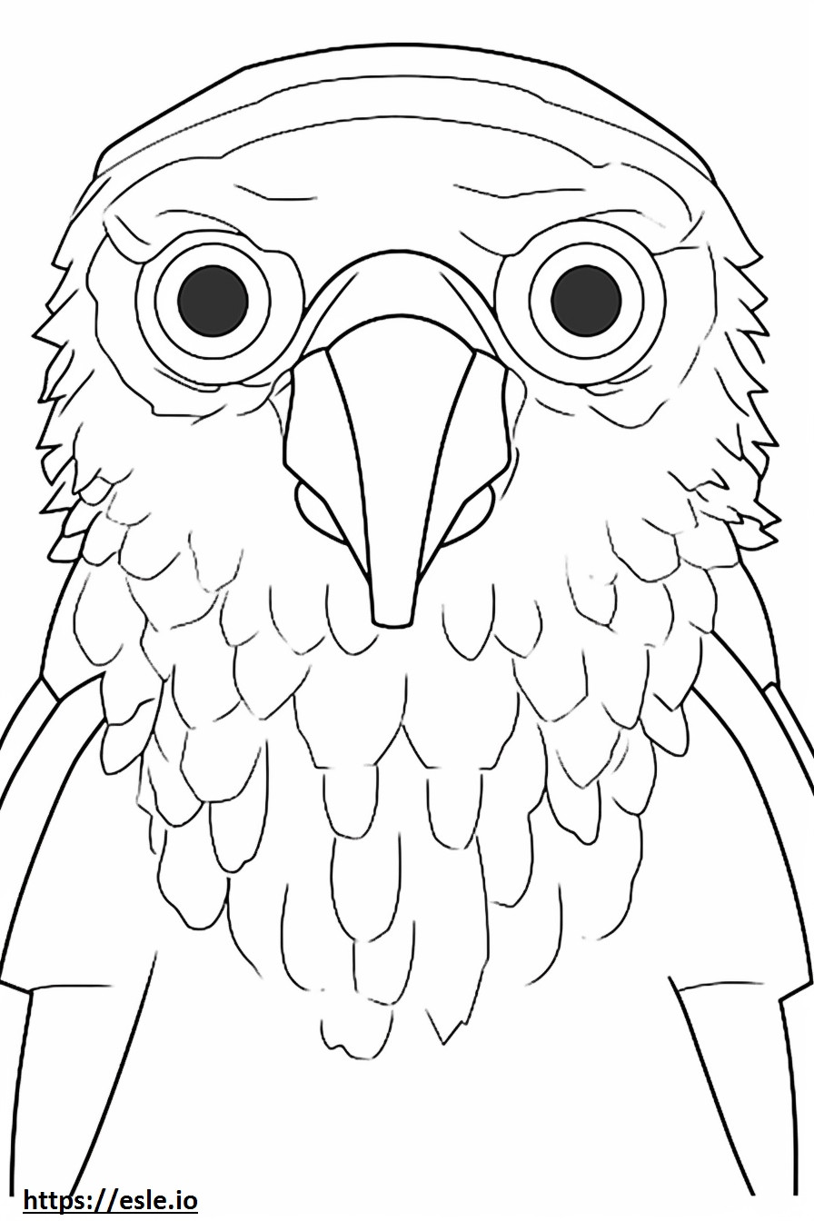 Barbet face coloring page