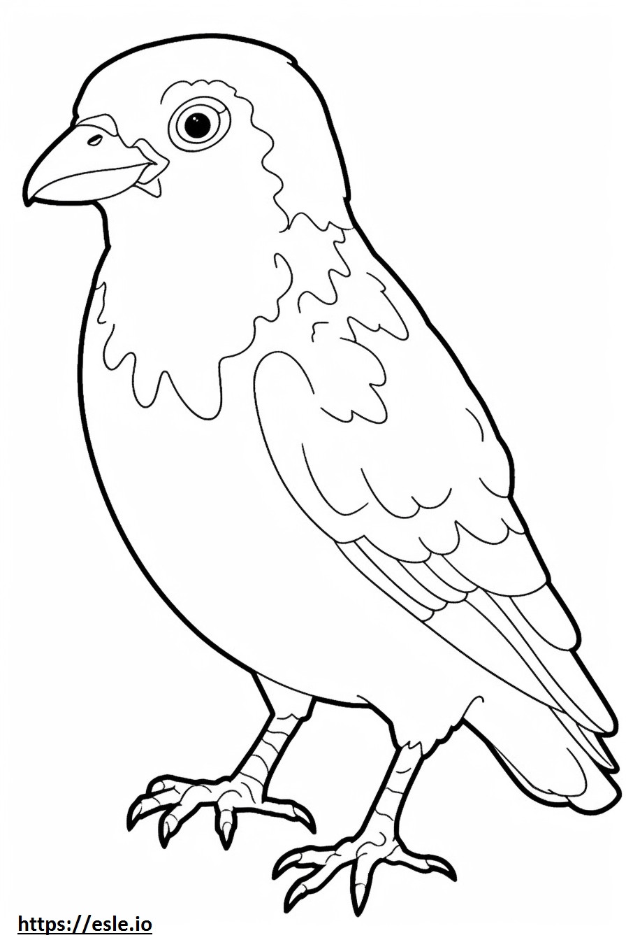 Barbet baby coloring page