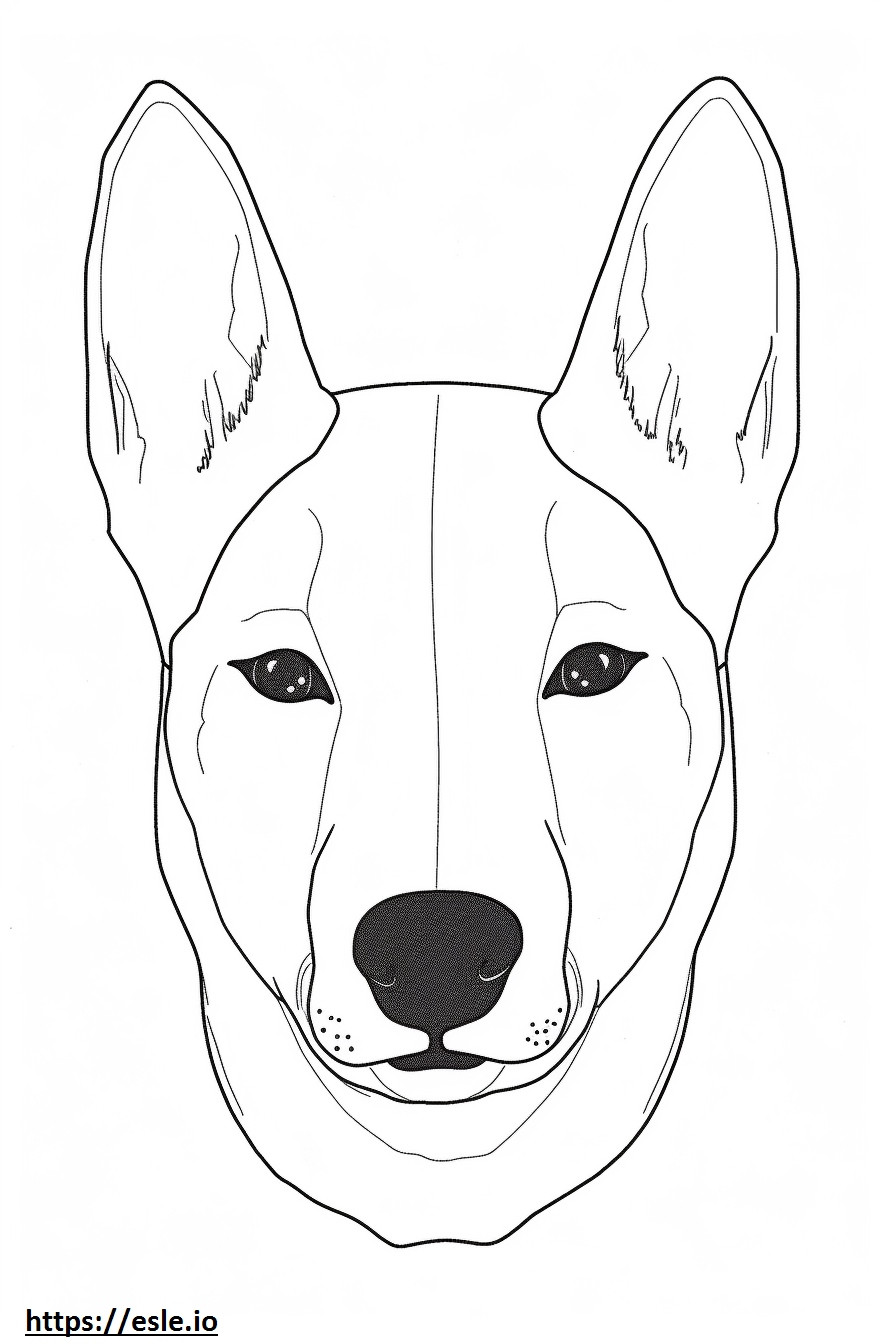 Coloriage Visage de chien Basenji à imprimer