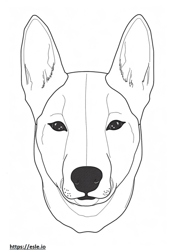 Basenji Köpek yüzü boyama