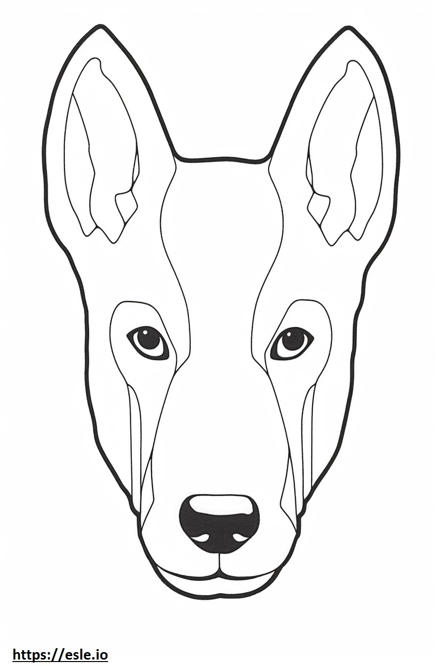 バセンジー犬の顔 ぬりえ - 塗り絵