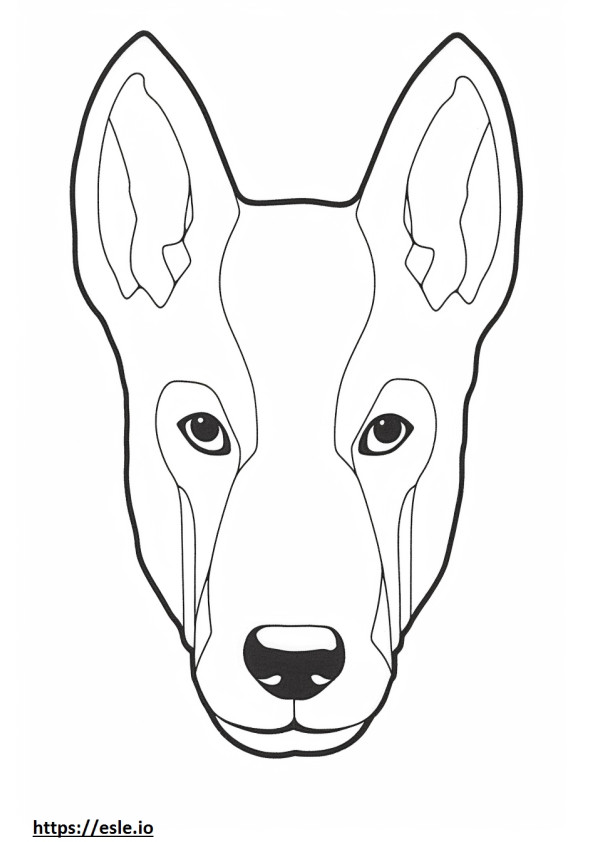 Basenji Hondengezicht kleurplaat