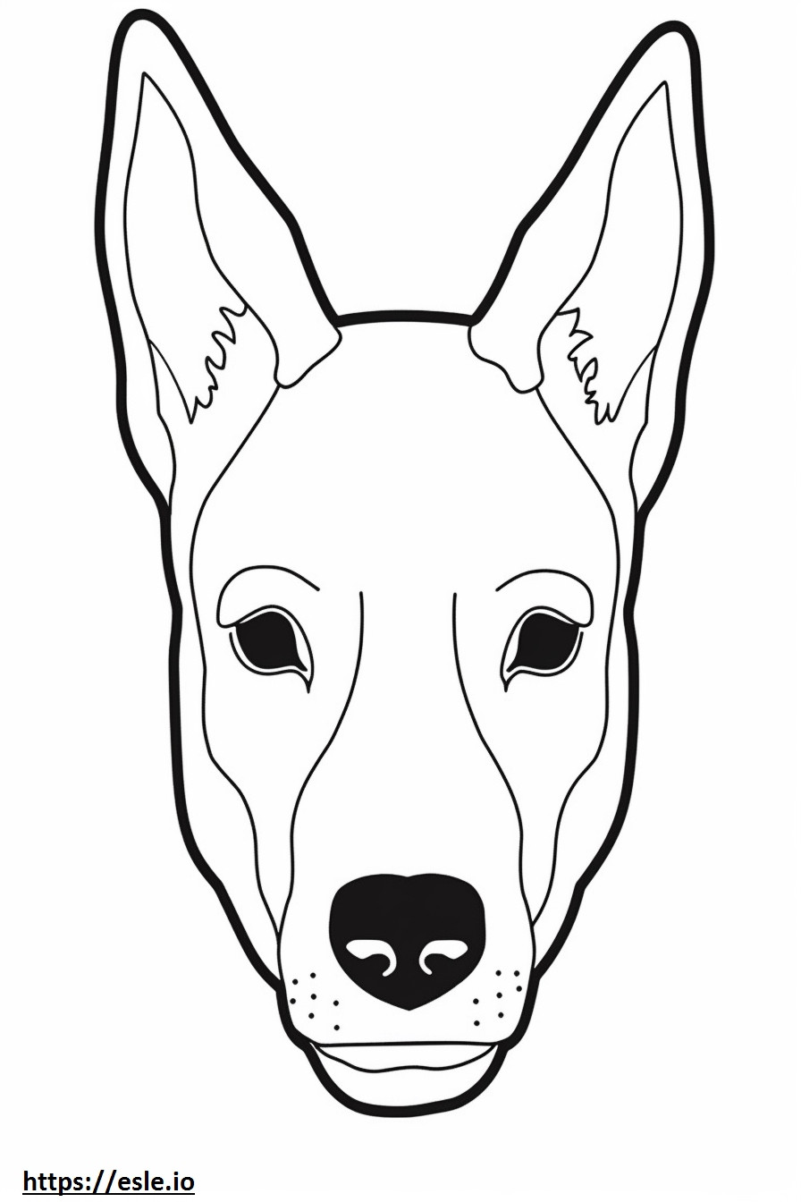 Cara de cachorro Basenji para colorir