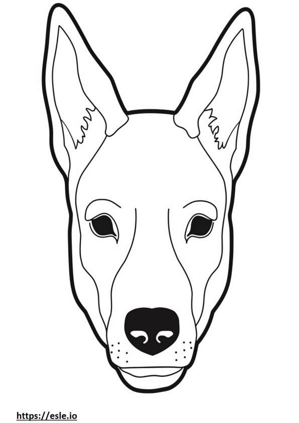 Basenji kutya arc szinező