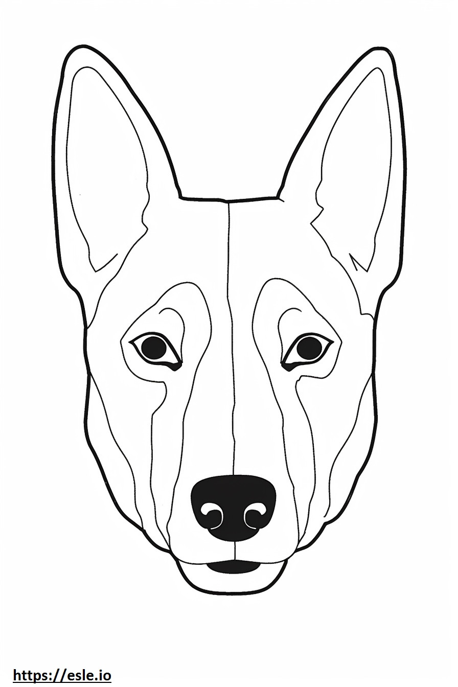 Cara de perro basenji para colorear e imprimir