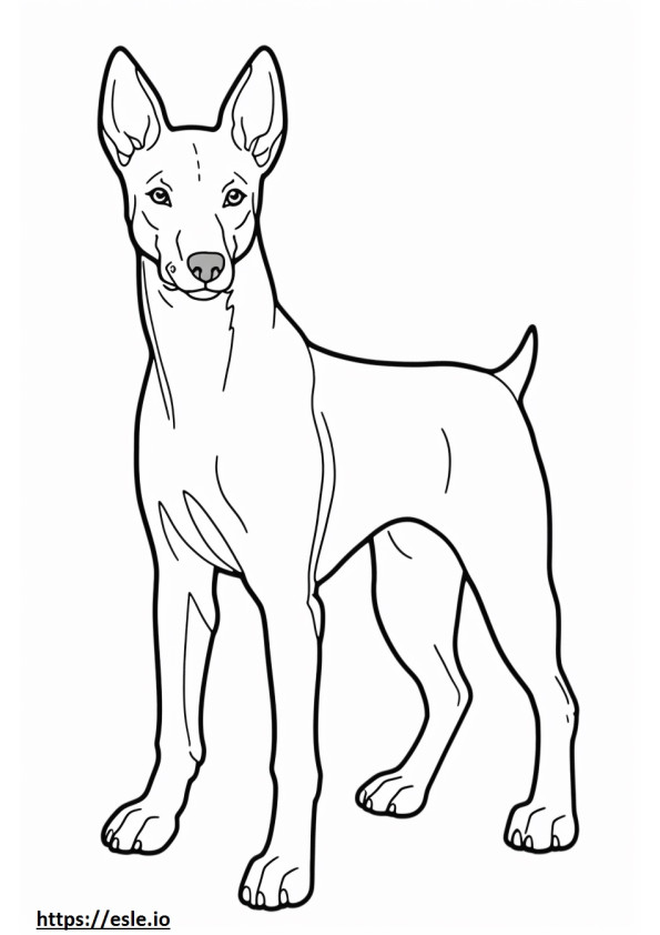 Basenji-Hundebaby ausmalbild