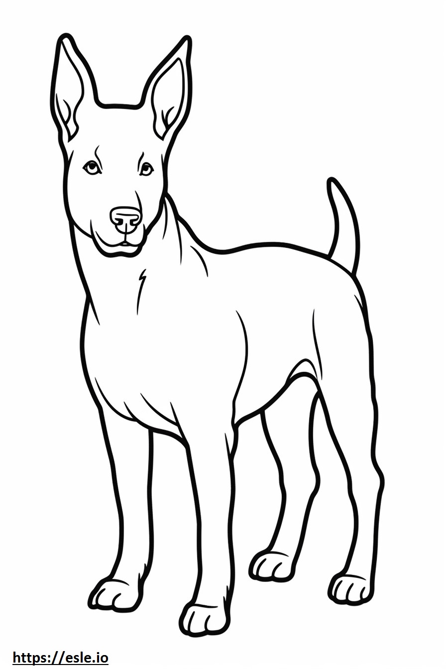 Dibujos animados de perro basenji para colorear e imprimir