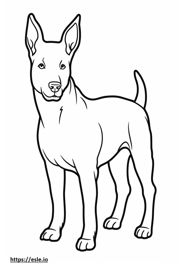Dibujos animados de perro basenji para colorear e imprimir