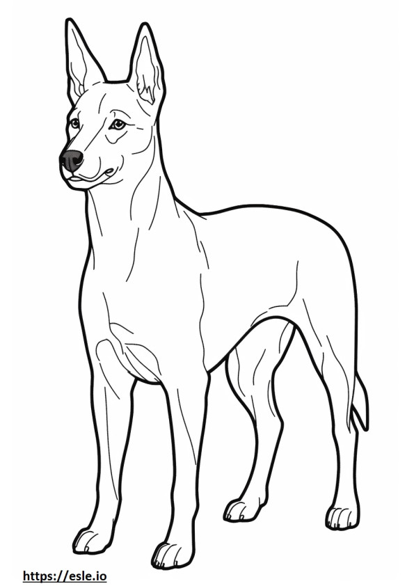 Coloriage Caricature de chien Basenji à imprimer