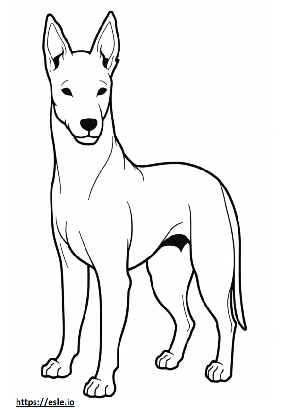 Coloriage Caricature de chien Basenji à imprimer