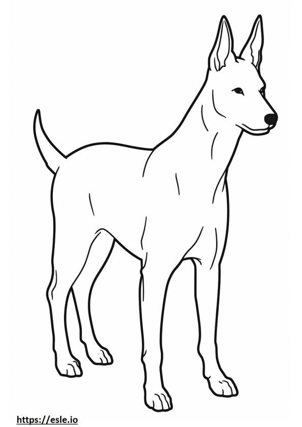 Basenji Dog cartoon coloring page
