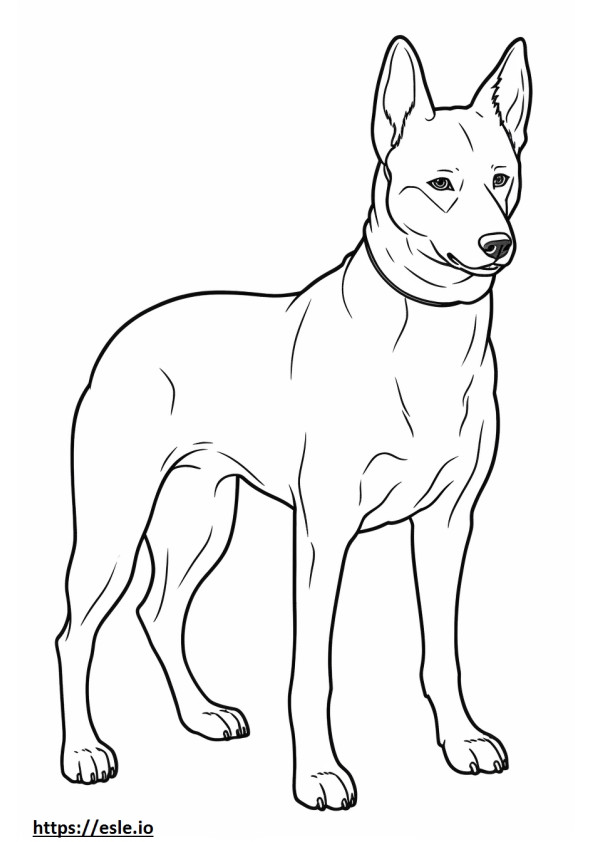 Basenji-hond schattig kleurplaat